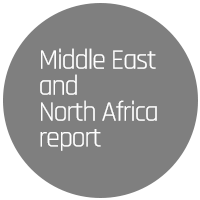 Middle East and North Africa Report